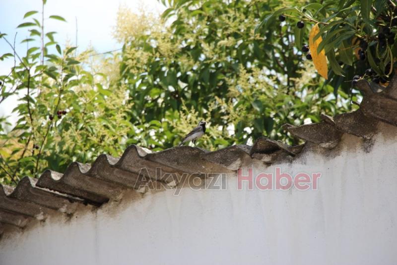 Akyazı Gebze arası Seyehat ettiler