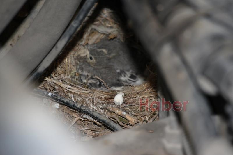 Akyazı Gebze arası Seyehat ettiler