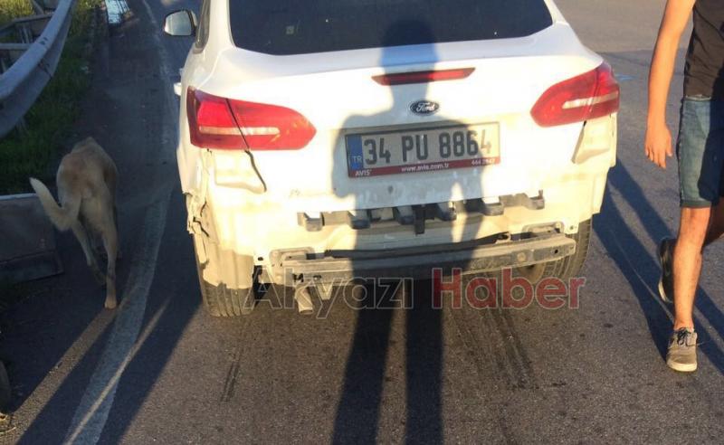 Akyazı Gişelerde Trafik Kazası