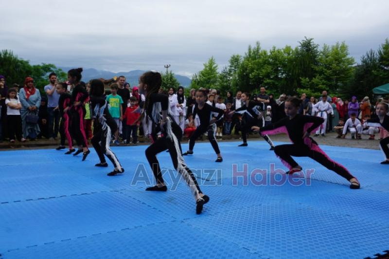 Akyazı Halk Eğitim Müdürlüğünde yıl sonu sergisi yapıldı