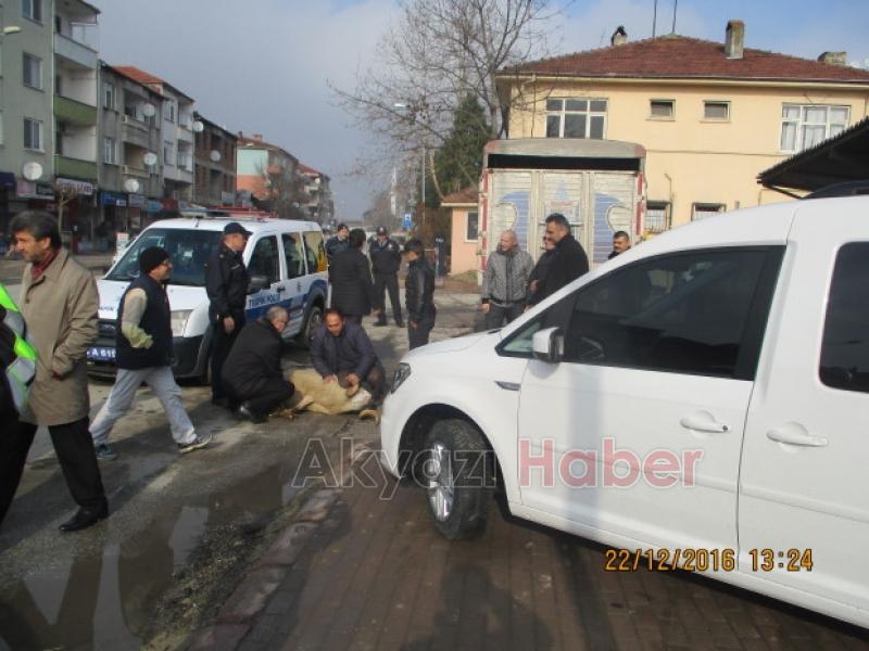 Akyazı İlçe Emniyet Müdürlüğüne Jest