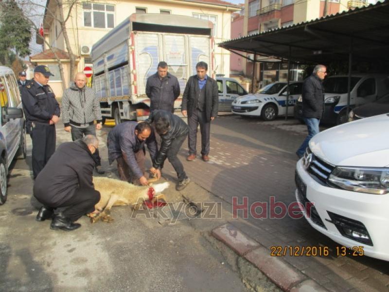 Akyazı İlçe Emniyet Müdürlüğüne Jest