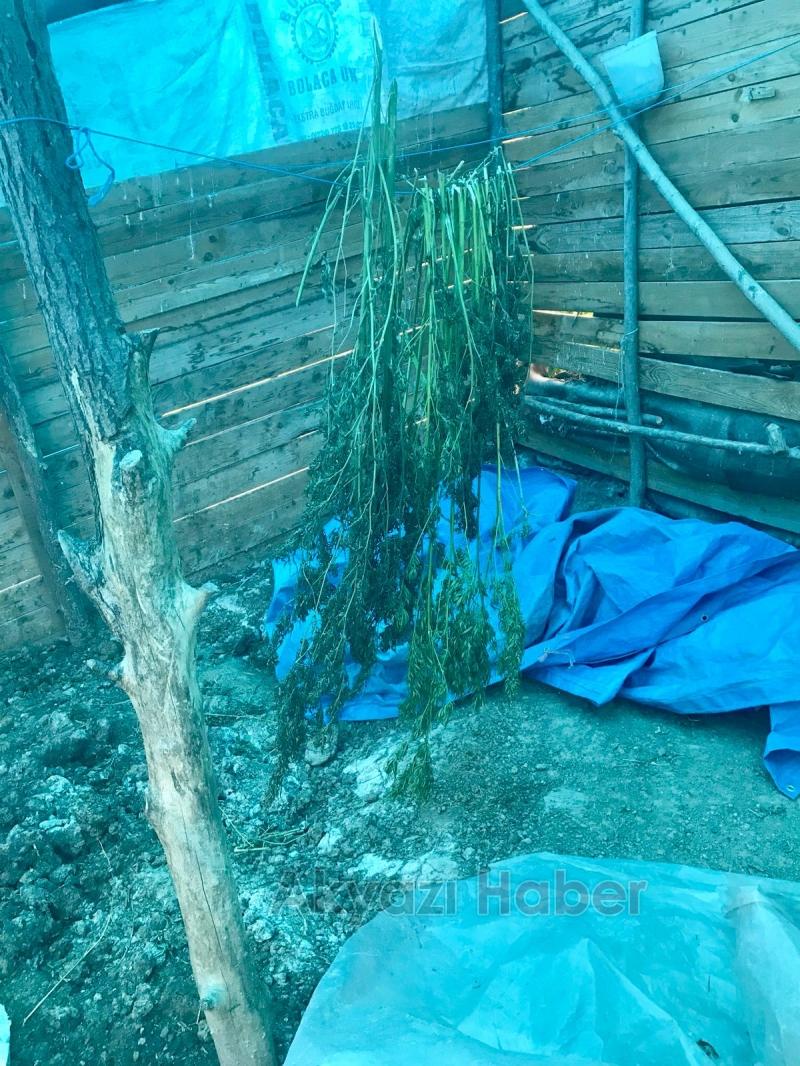 Akyazı jandarmadan operasyon üstüne operasyon