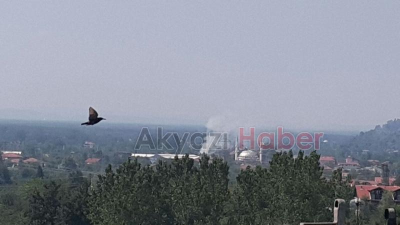 Akyazı Kuzuluk Mahallesinde Yangın