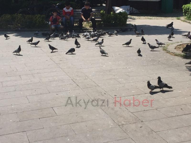 Akyazı Kavruluyor