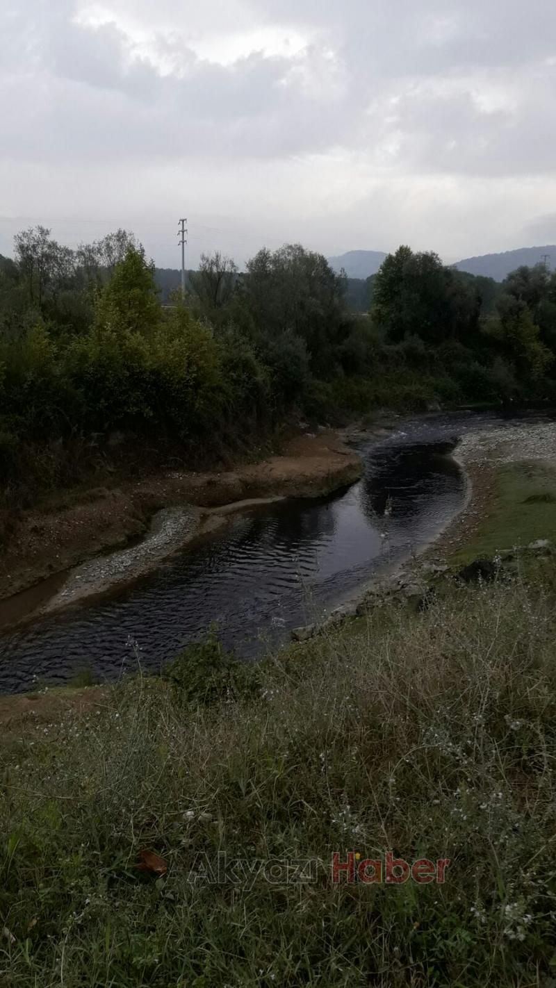  Akyazı Mudurnu Deresi Simsiyah Akıyor