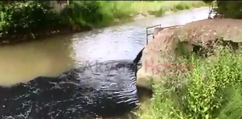 Akyazı Mudurnu deresi simsiyah akmaya devam ediyor