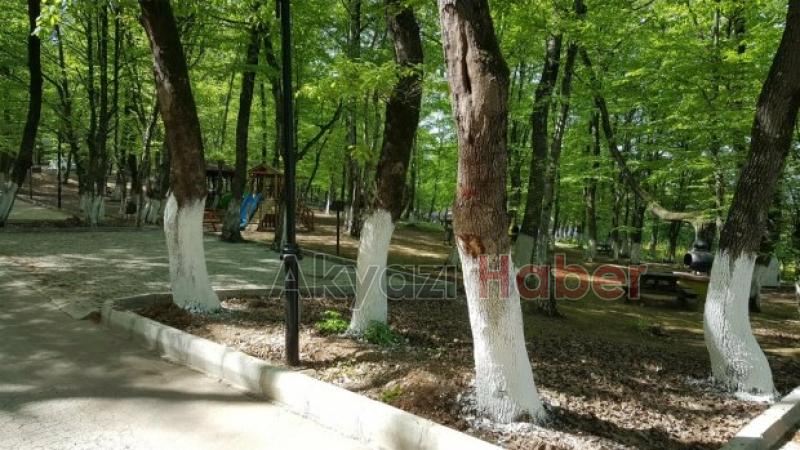 Akyazı nın En Nezih Mekanı Orman Park Açılıyor