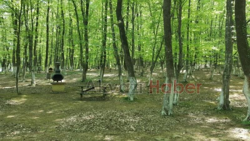 Akyazı nın En Nezih Mekanı Orman Park Açılıyor