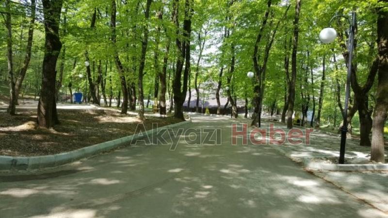 Akyazı nın En Nezih Mekanı Orman Park Açılıyor