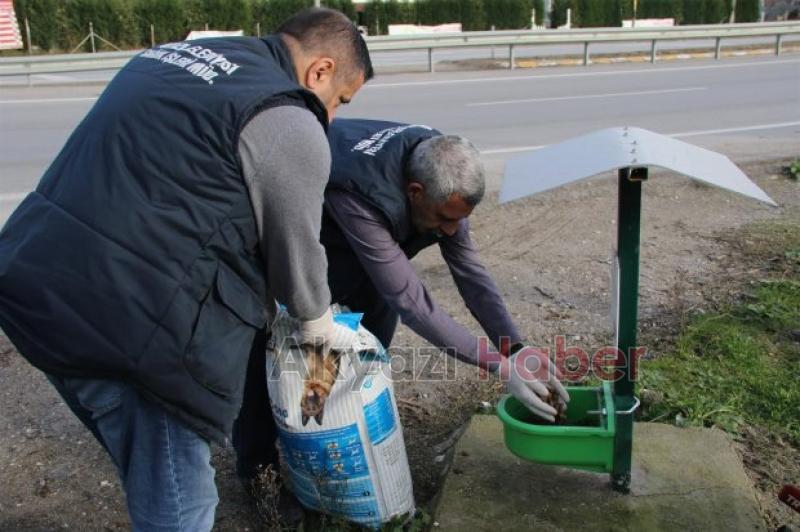 Akyazı nın Örnek Projesine Ödül 