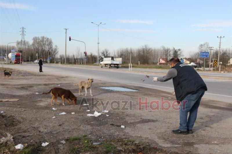 Akyazı nın Örnek Projesine Ödül 