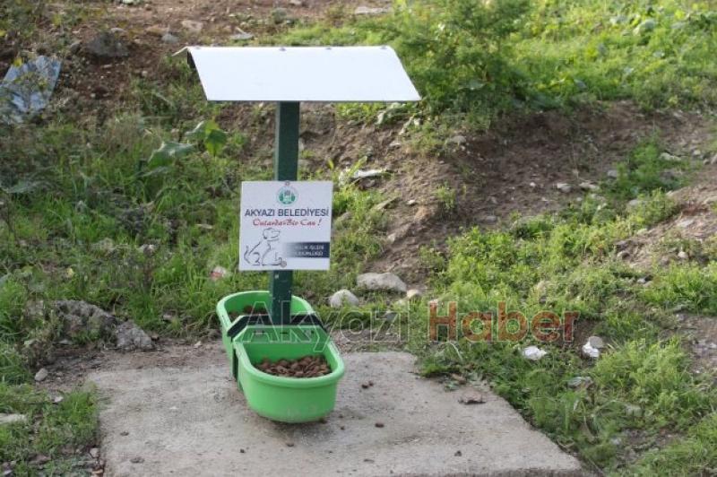 Akyazı nın Örnek Projesine Ödül 