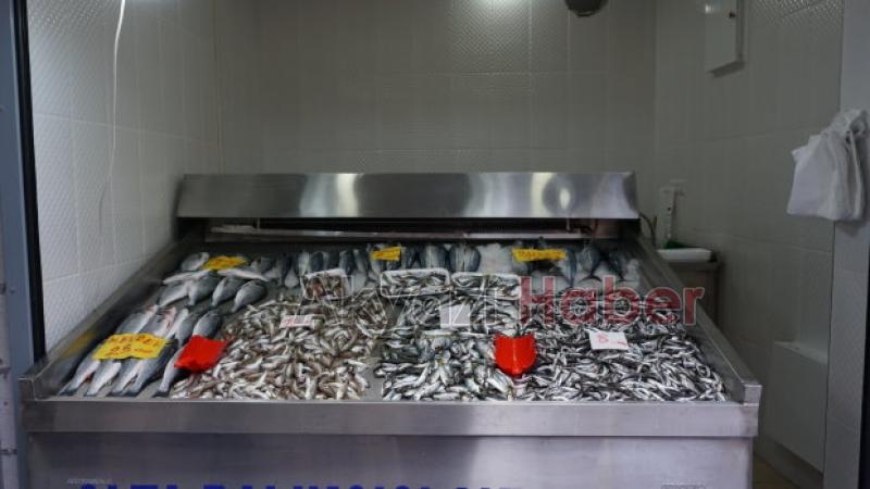 AKYAZI'NIN YENİ BALIKÇISI AÇILDI