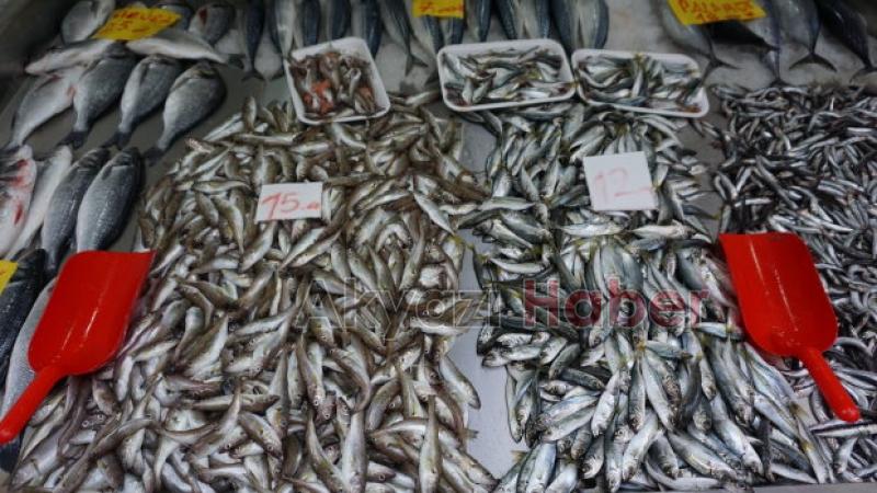 AKYAZI'NIN YENİ BALIKÇISI AÇILDI