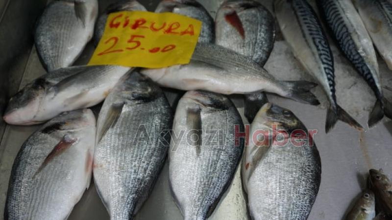 AKYAZI'NIN YENİ BALIKÇISI AÇILDI