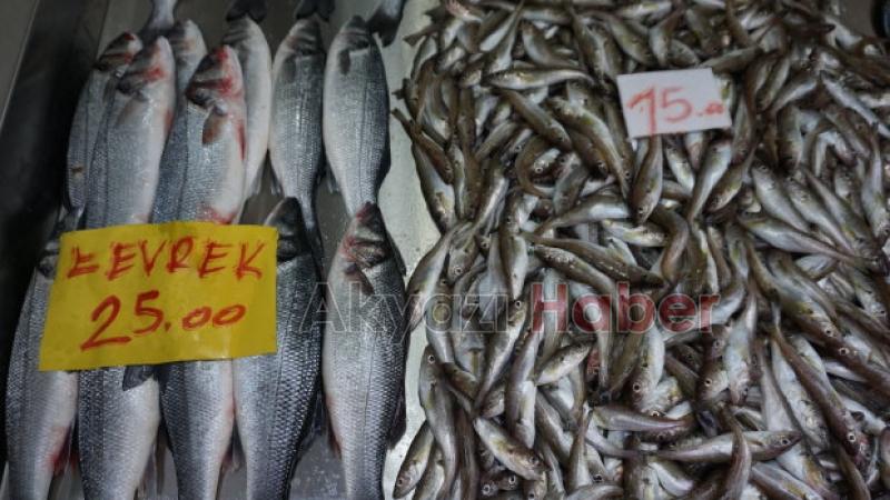 AKYAZI'NIN YENİ BALIKÇISI AÇILDI