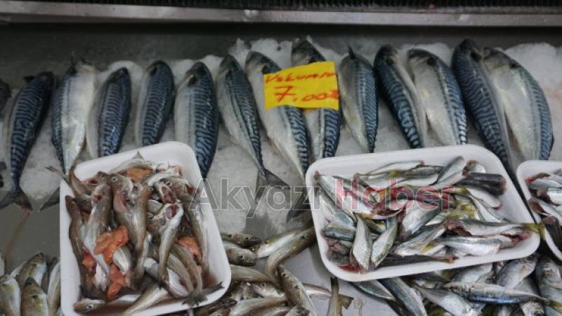 AKYAZI'NIN YENİ BALIKÇISI AÇILDI