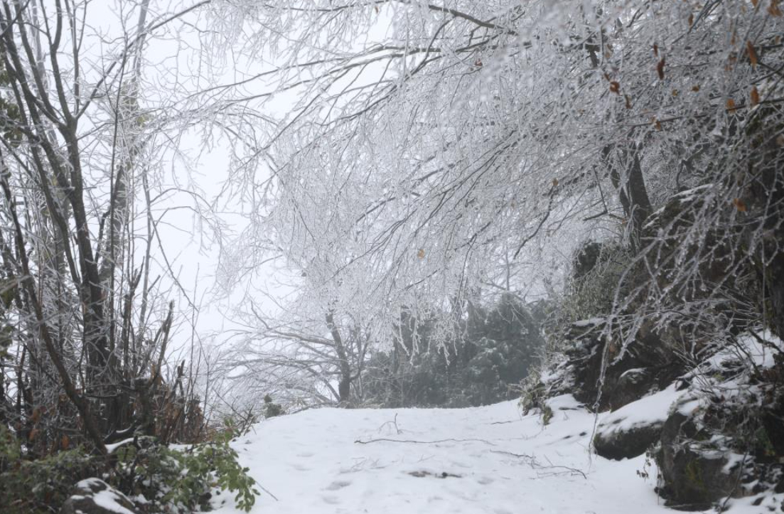 Akyazı'nın yüksek kesimleri karla kaplandı