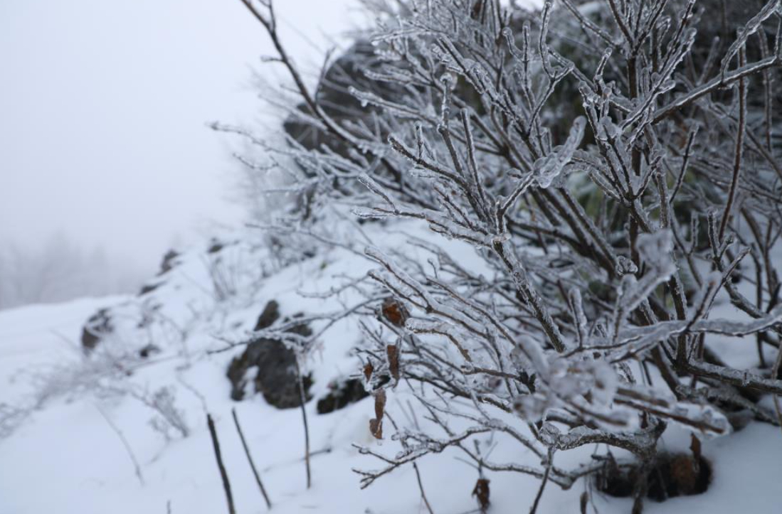 Akyazı'nın yüksek kesimleri karla kaplandı