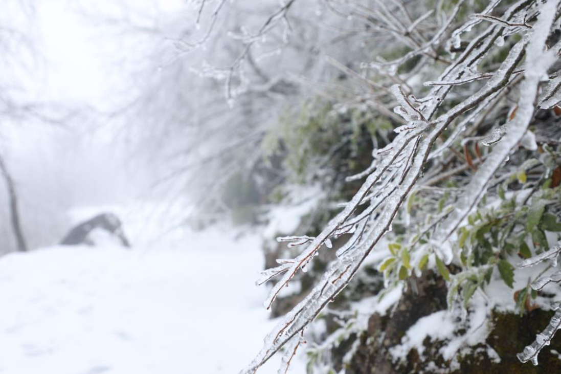 Akyazı'nın yüksek kesimleri karla kaplandı