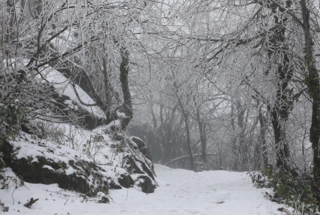 Akyazı'nın yüksek kesimleri karla kaplandı