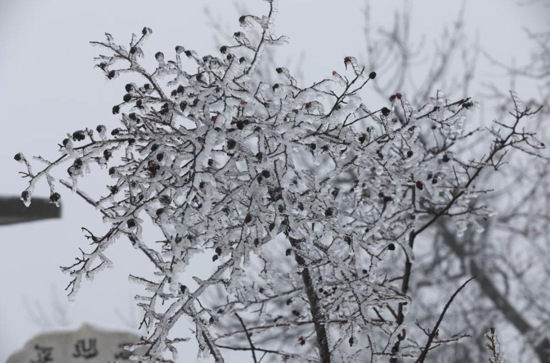 Akyazı'nın yüksek kesimleri karla kaplandı