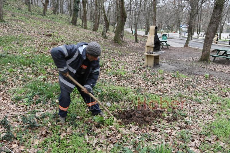 AKYAZI ORMANPARK MEYVE AĞAÇLARI İLE DONATILDI
