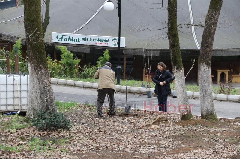 AKYAZI ORMANPARK MEYVE AĞAÇLARI İLE DONATILDI