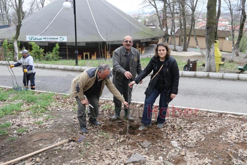 AKYAZI ORMANPARK MEYVE AĞAÇLARI İLE DONATILDI