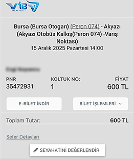 Akyazı otogara girmeyen yolcu otobüsü genç kızı gece vakti gişelerde indirdi