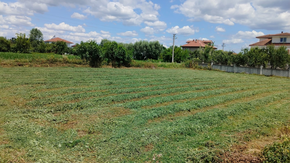 Akyazı Pazarköy’de İmarlı ve Doğalgazlı Satılık Arsa: Yatırımcılar ve Aileler İçin Büyük Fırsat!