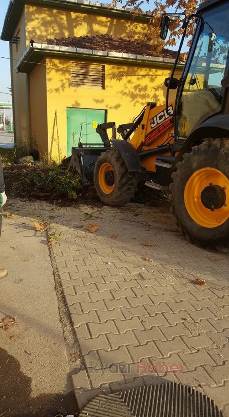 Akyazı Sedaşta Sonbahar Temizliği