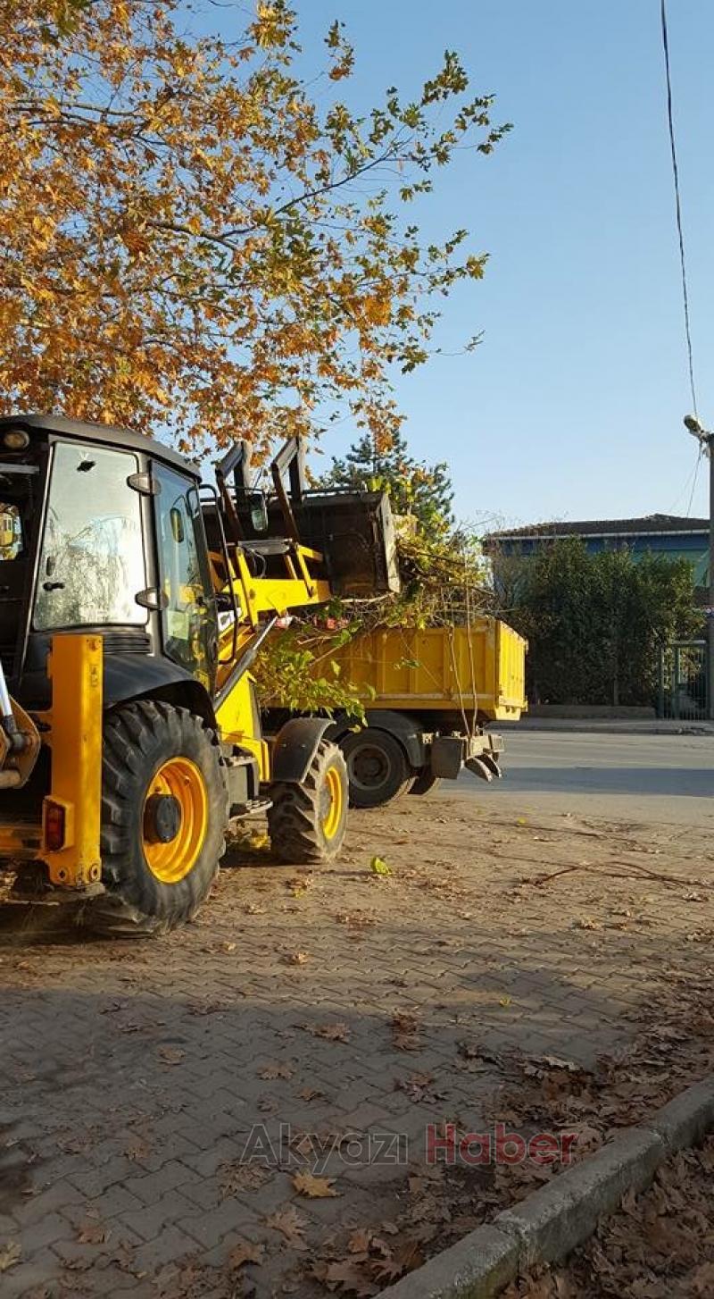 Akyazı Sedaşta Sonbahar Temizliği