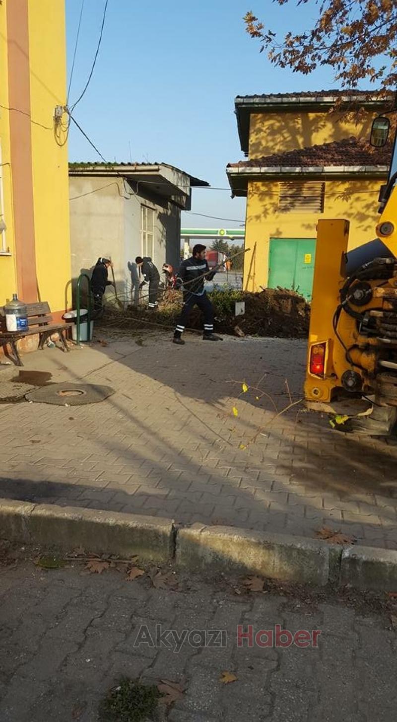 Akyazı Sedaşta Sonbahar Temizliği