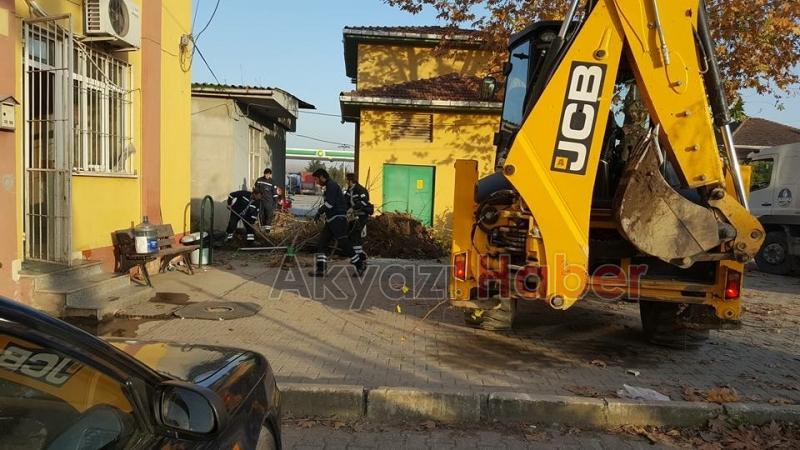 Akyazı Sedaşta Sonbahar Temizliği