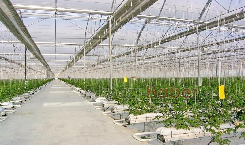 Akyazı Seracılık Mükemmeliyet Merkezi projesi hazır