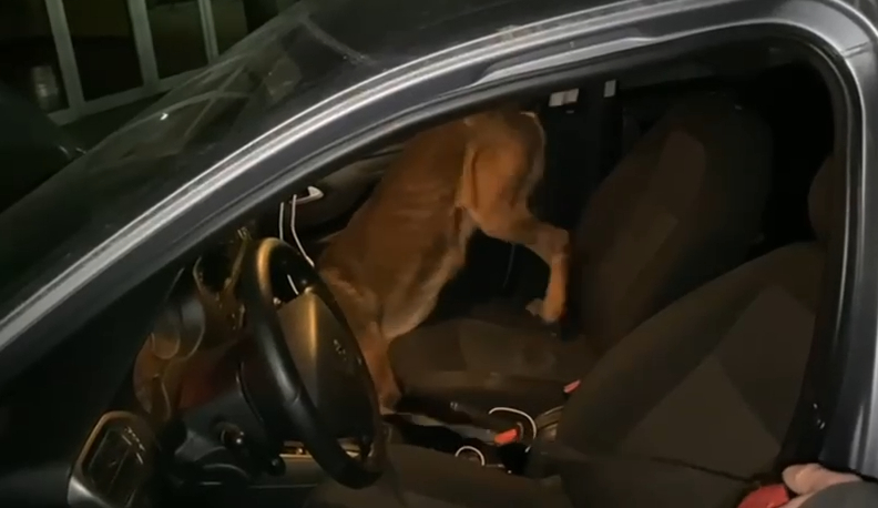 Akyazı ve Arifiye'de uyuşturucu operasyonu