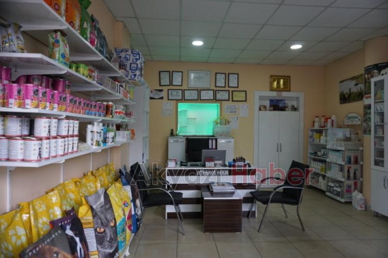 Akyazı Veteriner Kliniğinden bir ilk