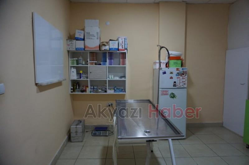 Akyazı Veteriner Kliniğinden bir ilk