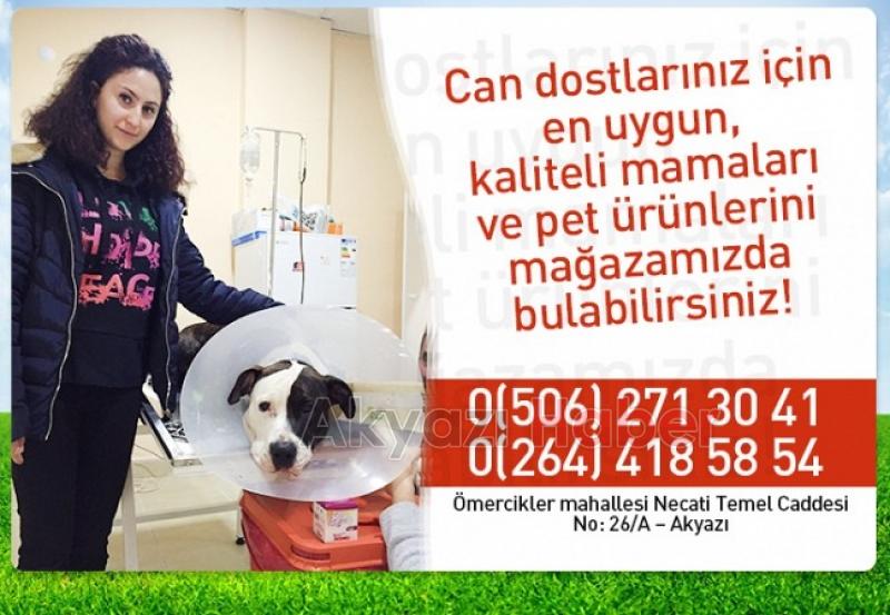Akyazı Veteriner Kliniğinden bir ilk