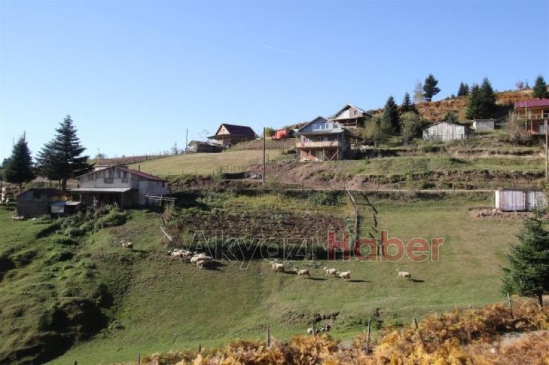 Akyazı Zirveye Yürüdü