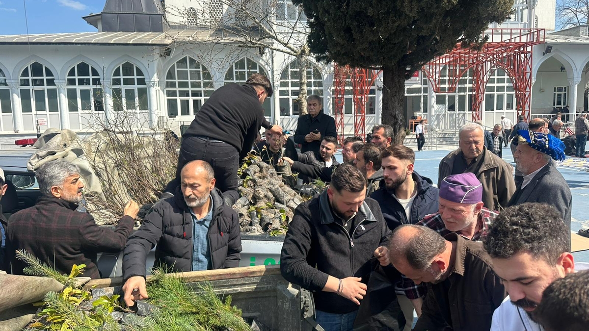 Akyazı’da 3 bin fidan ücretsiz dağıtıldı