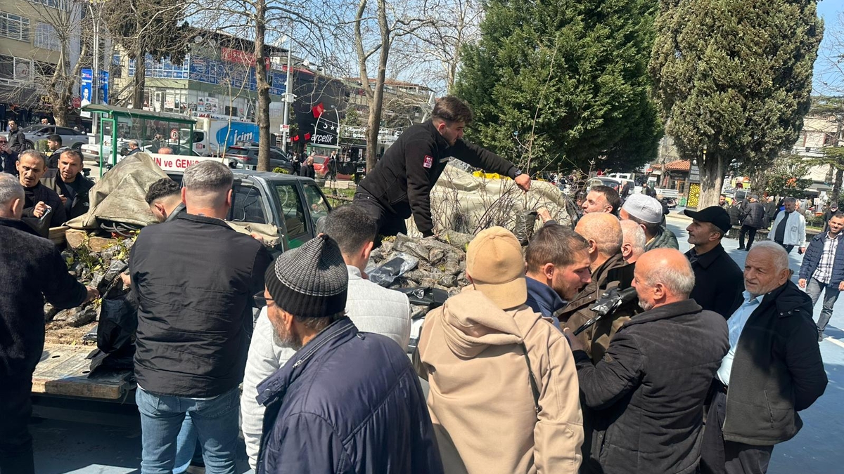 Akyazı’da 3 bin fidan ücretsiz dağıtıldı