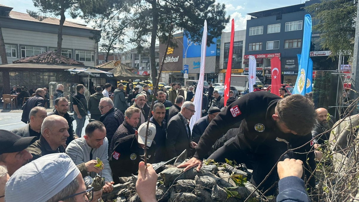 Akyazı’da 3 bin fidan ücretsiz dağıtıldı