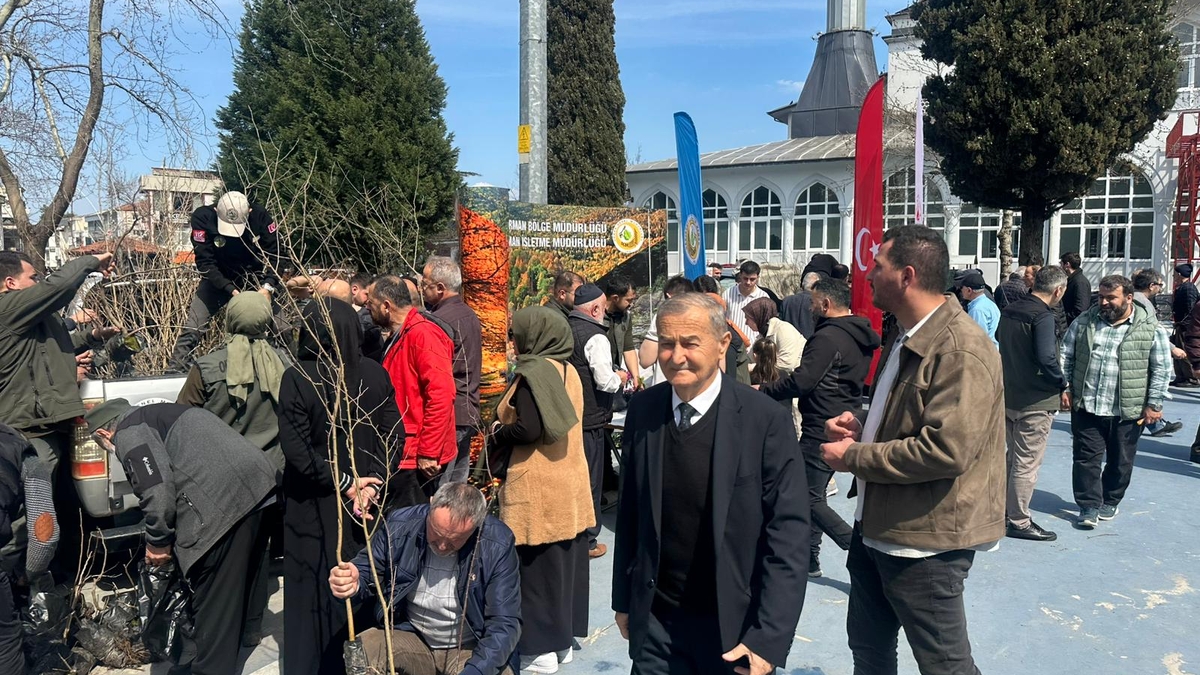 Akyazı’da 3 bin fidan ücretsiz dağıtıldı
