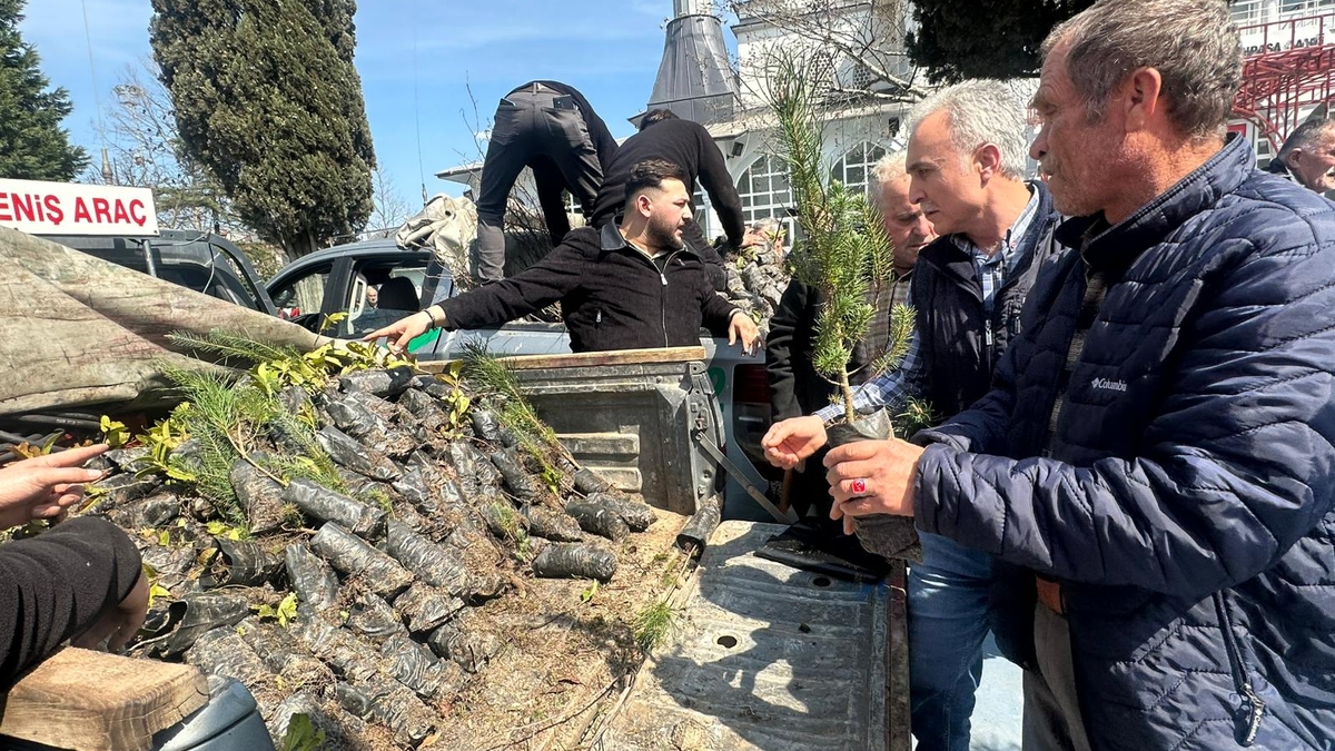 Akyazı’da 3 bin fidan ücretsiz dağıtıldı