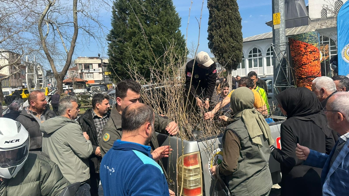 Akyazı’da 3 bin fidan ücretsiz dağıtıldı