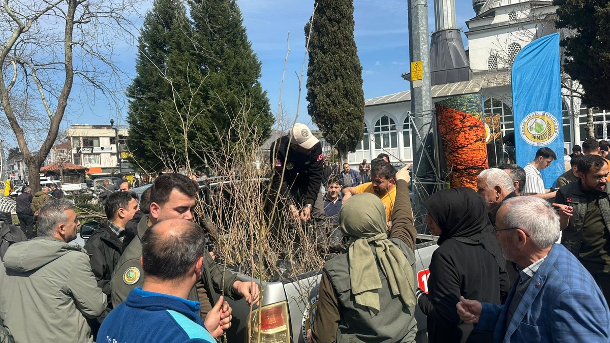 Akyazı’da 3 bin fidan ücretsiz dağıtıldı