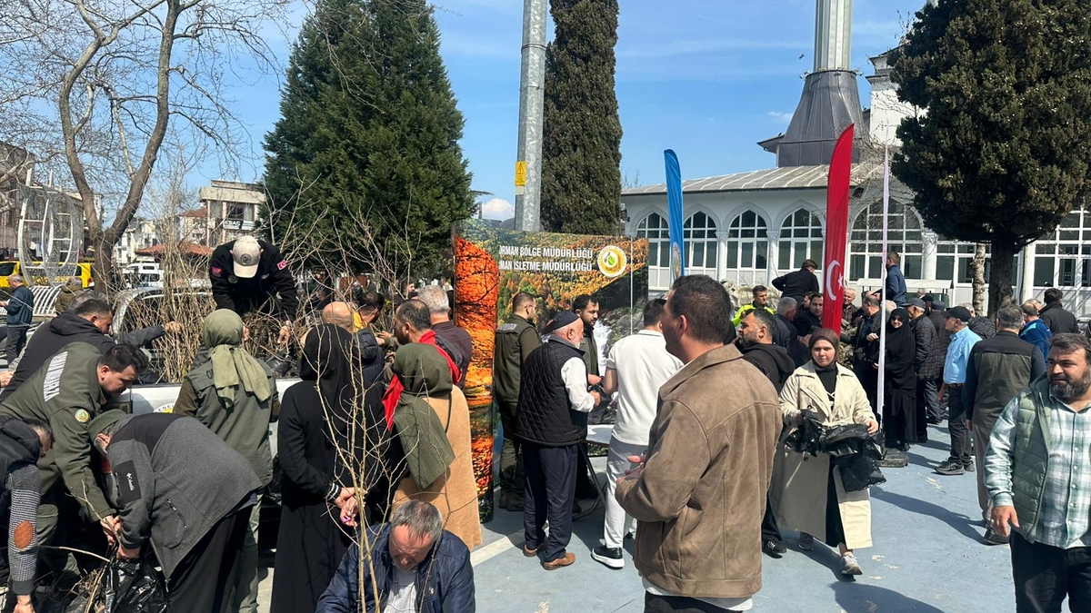 Akyazı’da 3 bin fidan ücretsiz dağıtıldı